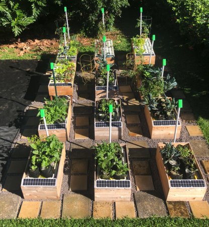 growbot hydroponics