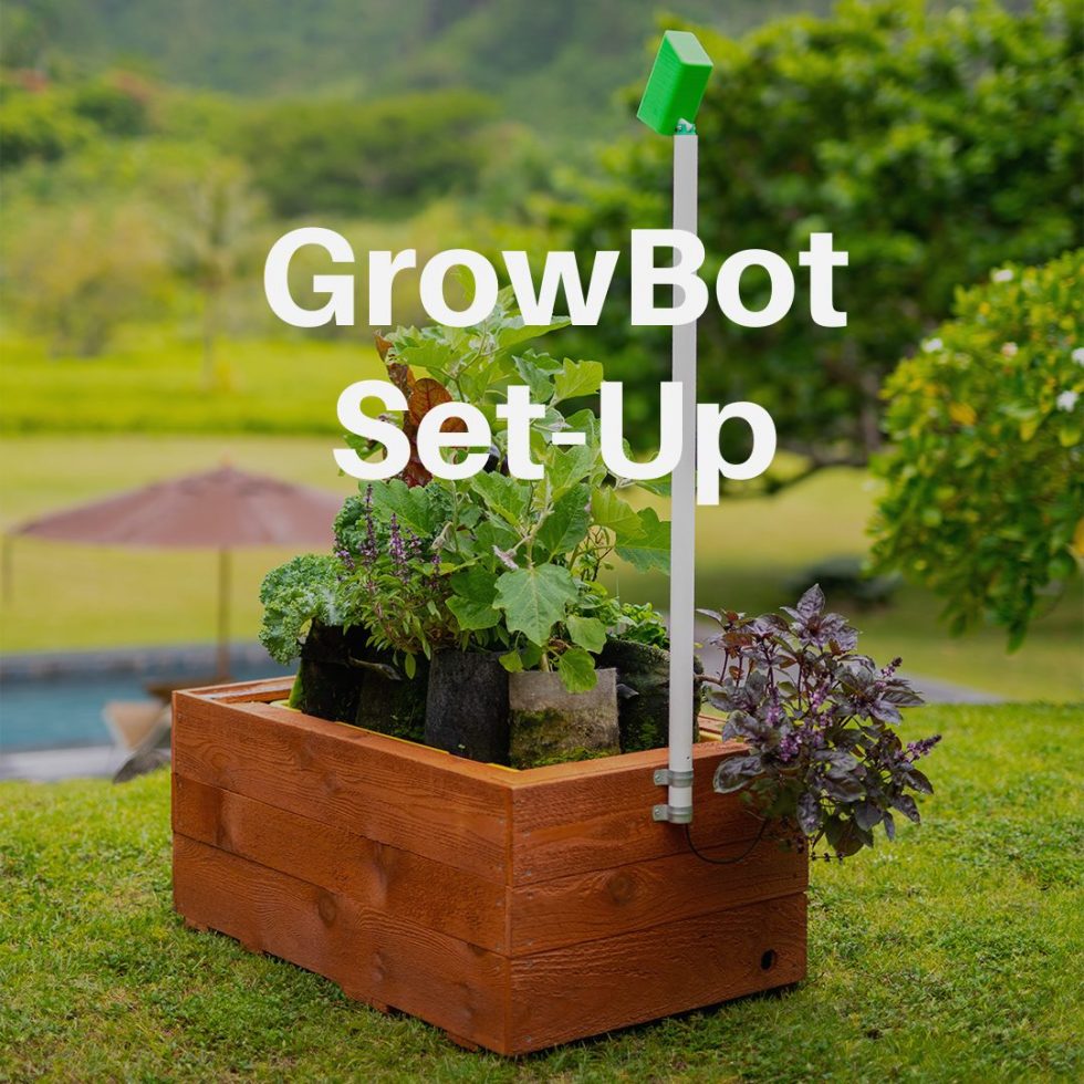 growbot easy feed